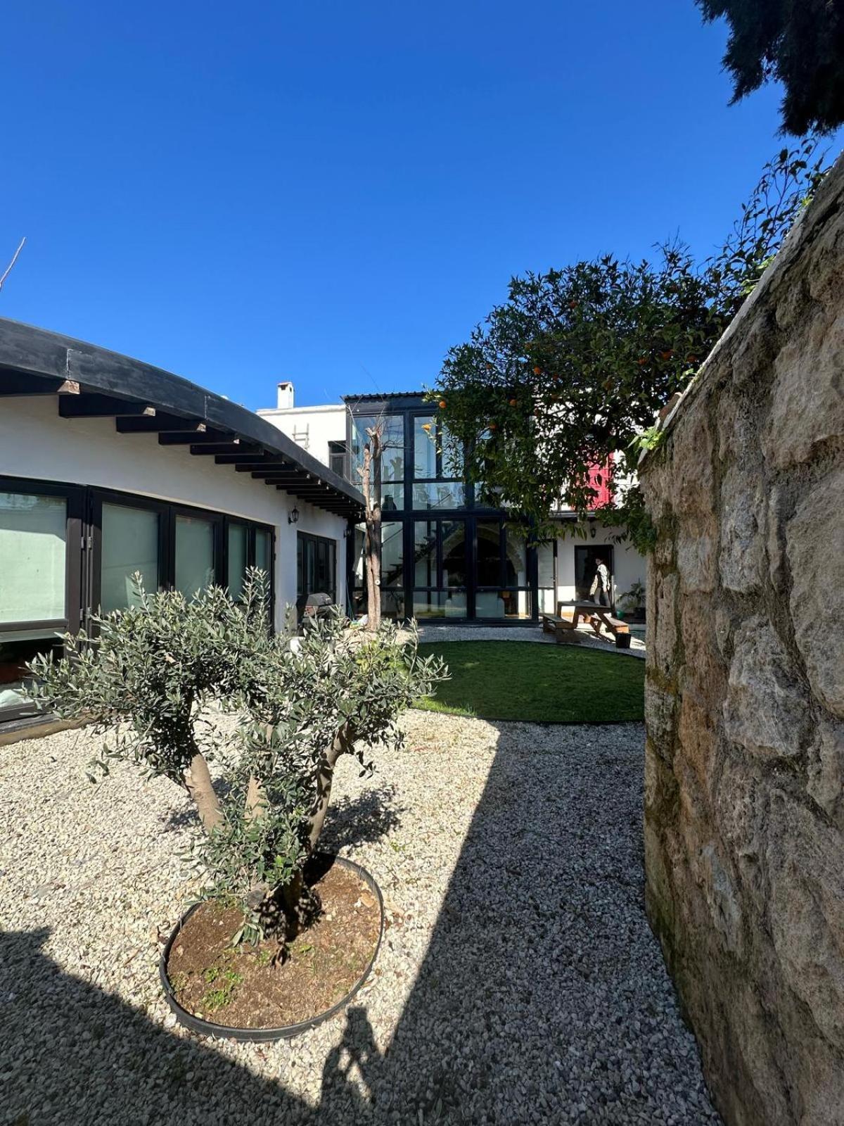 키레니아 Olive House 빌라 외부 사진
